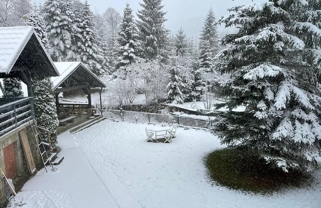 Montana-1